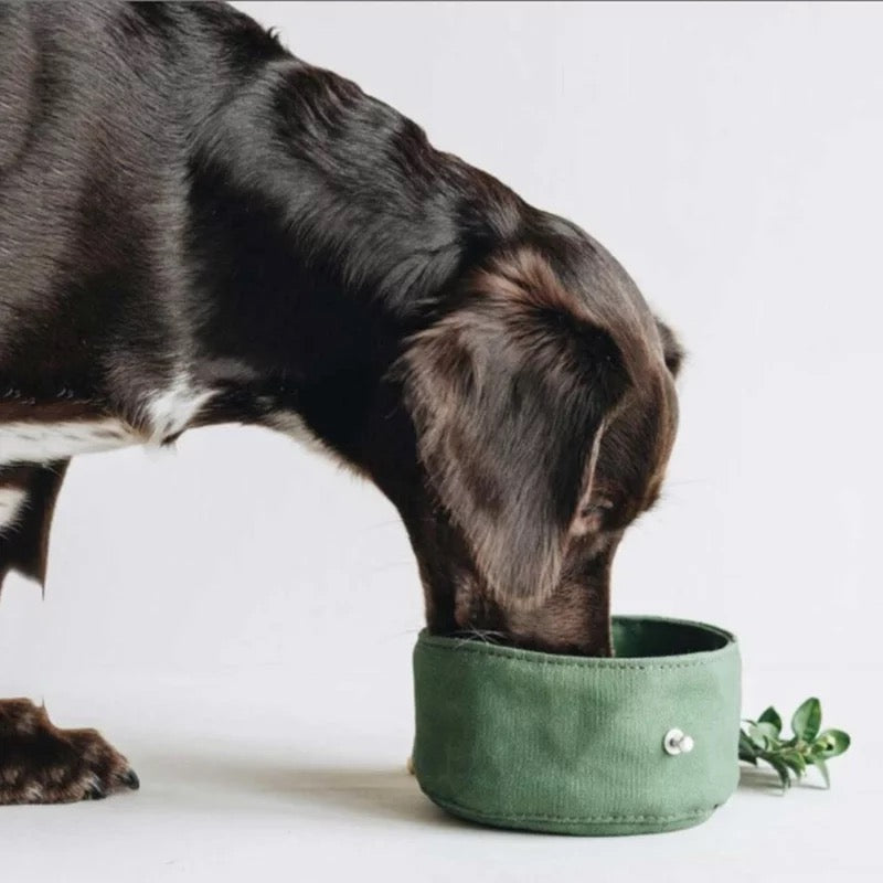 Dog Travel Water Bowl